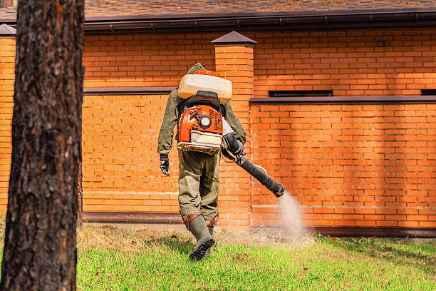 Bed Bug Clearance Verification and Documentation in San Juan